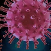 The ever-changing coronavirus