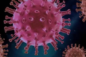 The ever-changing coronavirus