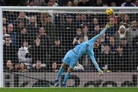 The Italian goalkeeper helped Spurs hold on for a 2-1 win against Everton.