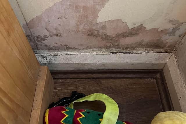 Wallpaper has peeled off the wall in a rented home in Burnley due to black mould.