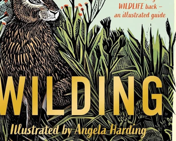 Wilding: How to Bring Wildlife Back – An Illustrated Guide  by Isabella Tree and Angela Harding