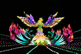 The Phoenix at Lightopia in Manchester.