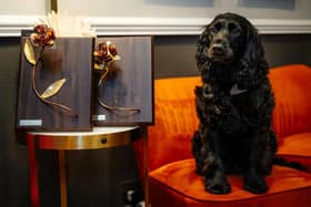A very proud pooch! Hetty, who belongs to Michael Huckerby, the owner of The Lawrence Hotel in Padiham, with the two awards the hotel received at the Lancashire Tourism Awards which are Best Dog Friendly Hotel for the second year running and Perfect Stay Lancashire