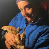 Bethany Cook, owner of Quaker Animal Rescue & Rehabilitation, with one of the abandoned pet rabbits.