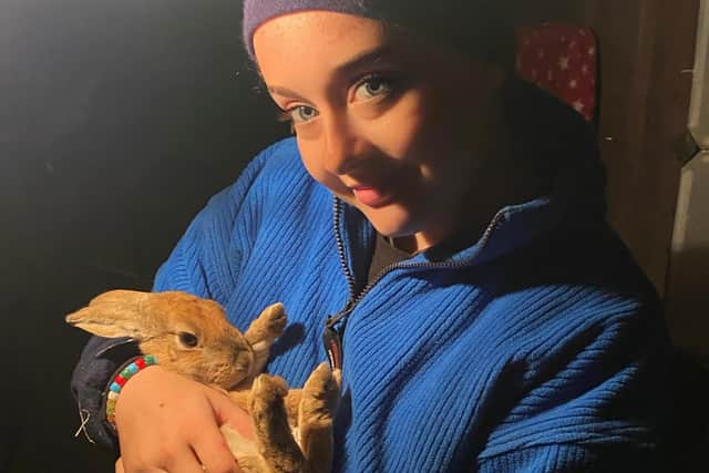 Quaker Animal Rescue & Rehabilitation in Brierfield fundraising to help ...