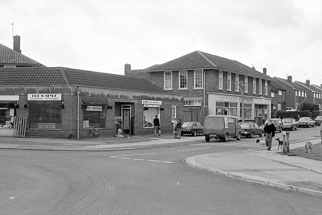 Cox's Lane looked very different 40 years ago - do you remember it like this?