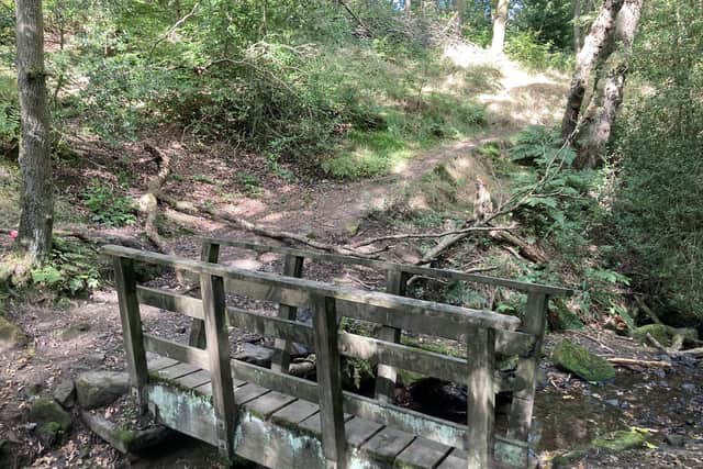 Improvement work on the cards at Towneley Woodlands include upgrading path surfaces, cutting back overhanging vegetation to give clear sight lines, and tackling dead and diseased trees.