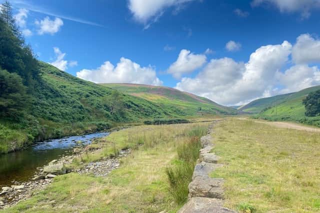 Langdon Brook, a watercourse in the Trough of Bowland c/o Ribble Rivers Trust