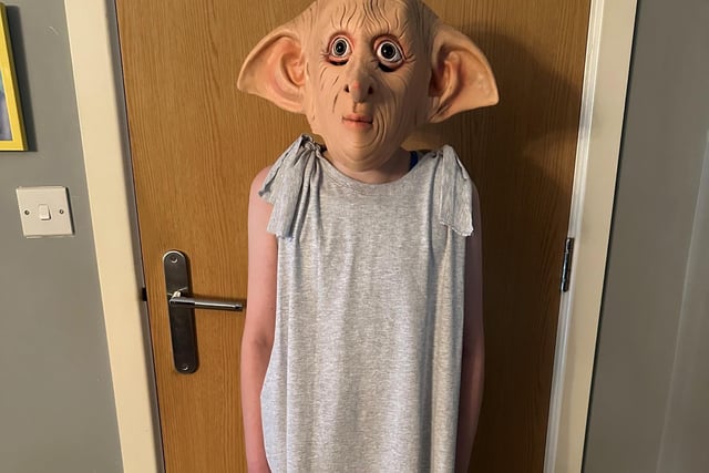 Charlie aged 11 as Dobby from Harry Potter.
