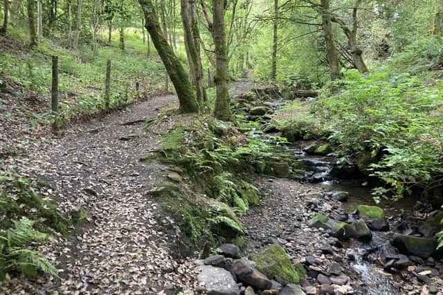 Improvement work on the cards at Towneley Woodlands include upgrading path surfaces, cutting back overhanging vegetation to give clear sight lines, and tackling dead and diseased trees.