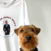Welsh terrier Albus will be walking up Pendle Hill five times in one day for charity next month with his owner Josh Stevenson. The pair are doing the walk in memory of Josh's friend, Josh Riley, who died last month.