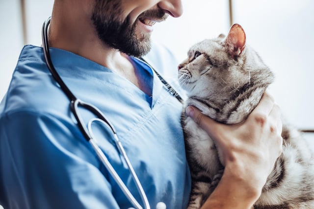 Continuing on the medical theme, third on the list of the highest paying degrees in the UK is veterinary medicine. A degree often driven by those with passion for helping animals, newly qualified veterinarian’s can expect to earn an average of around £35,000, with this figure climbing upwards of £70,000 over time.
