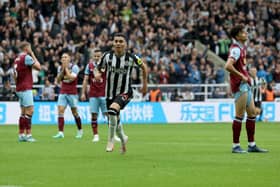 NEWCASTLE UPON TYNE, ENGLAND - SEPTEMBER 30: Miguel Almiron of Newcastle United celebrates after scoring the team's first goal during the Premier League match between Newcastle United and Burnley FC at St. James Park on September 30, 2023 in Newcastle upon Tyne, England. (Photo by Ian MacNicol/Getty Images)