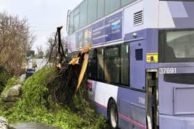 These were the scenes this morning when high winds, brought by Storm Pia, caused a section of a conifer tree to snap and fall onto a bus as it travelled through Cliviger.