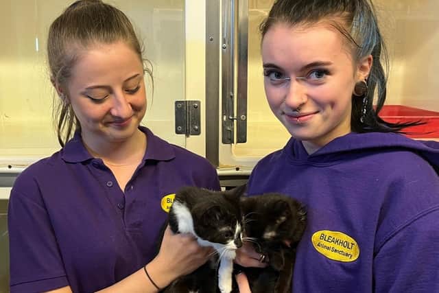 Caring staff at Bleakholt Animal Sanctuary have pledged that their animals will 'always come first' as they face an astronomical rise in bills as winter approaches