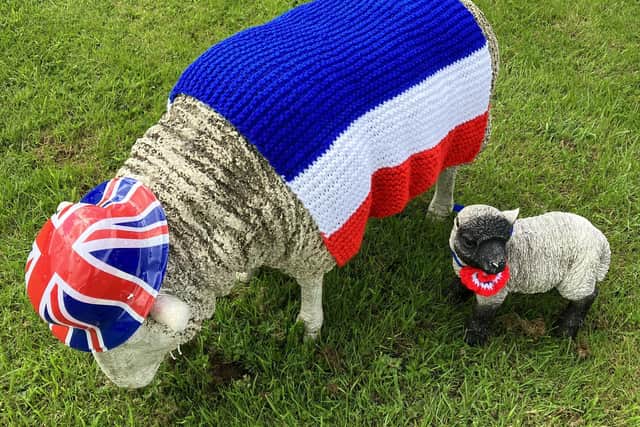 Residents of Littlemoor sheltered housing in Sabden - and their animal friends - are in jubilee mood. The animal outfits were made by Pat Whitwell from the Knit and Natter group.