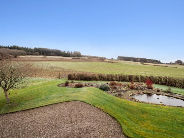 Garden.