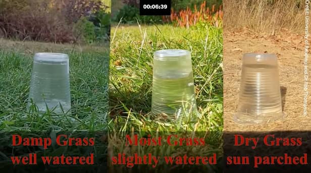 This experiment by a meteorologist shows the effects of droughts - and how they increase the risk of flash floods after rainfall.