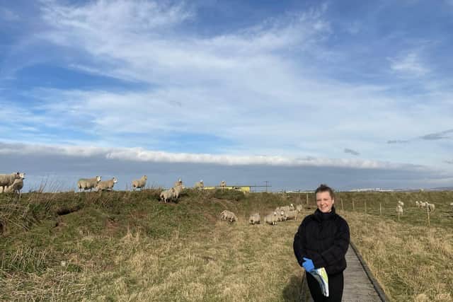 At South Walney Nature Reserve, visitors can stroll amongst sheep and other wild life, although the seals are not to be disturbed
