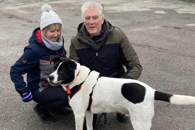 Bleakholt Animal Sanctuary long term resident Humbug finally finds his forever home with Ken Marsh and Sandra Rothwell