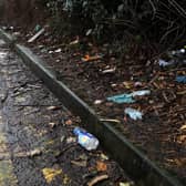 In 2020-21, there were 1,640 fines handed out for littering and seven for dog fouling in Pendle