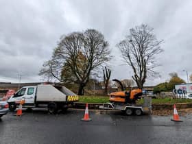 Trees being removed on Centenary Way roundabout in Burnley