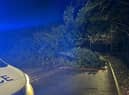 Whalley Road in Read - where it meets Burnley Road - was closed in both directions due to a fallen tree blocking the road