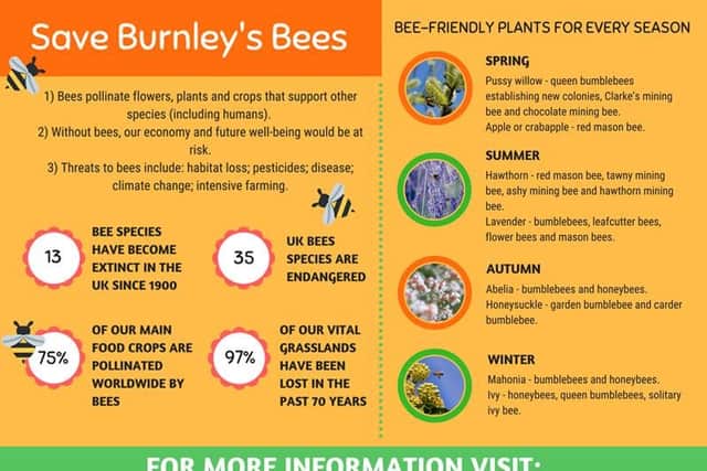 You can help protect bees by selecting seasonal plants for your garden which provide pollen, nectar and habitation throughout the year.