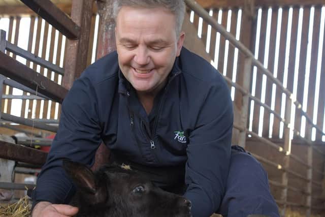 Graham Young tends a new born calf