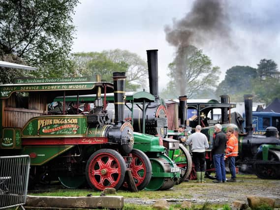 Some of the steam engines on display. Photo by Julian Brown