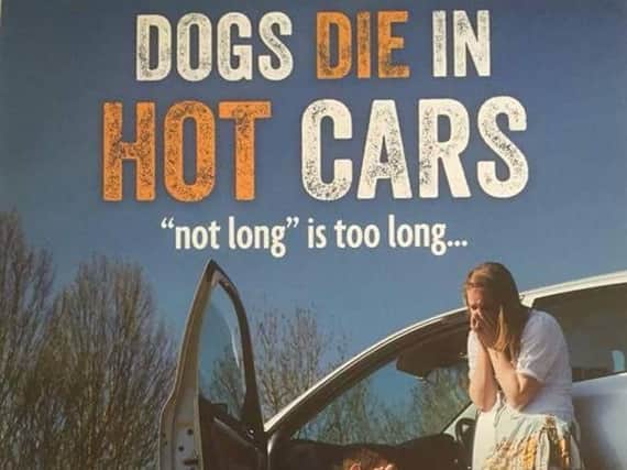 Don't leave your dogs in the car in this heatwave