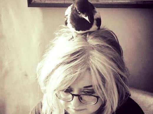 Teacher Janine adores her pet Mike the magpie who is pictured perched on her head while she does some marking