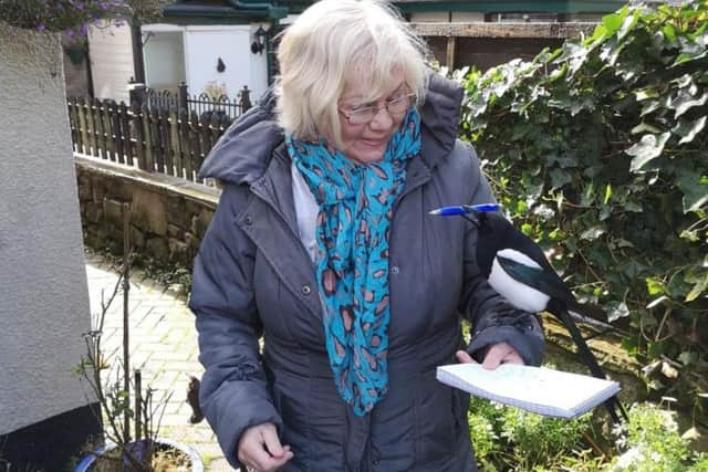 Mike the magpie takes a shine to reporter Sue Plunkett's shiny blue pen!