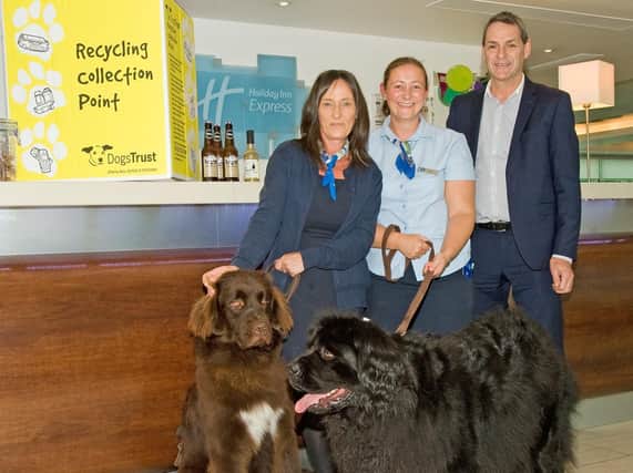 The Holiday Inn Express team, Donna Webster, guest services manager Katie Peel and hotel general manager Steve Walmsley with hotel doggy mascots Jess and Charley.