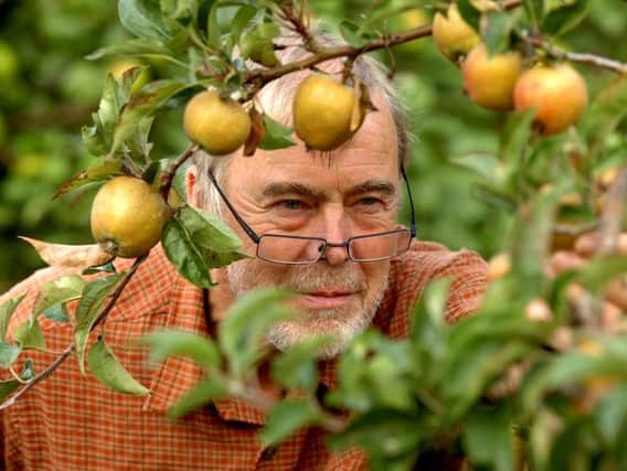 Phil Rainfordon the trail of lost apple trees