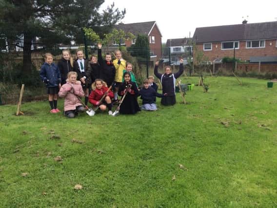 The pupils planting the trees