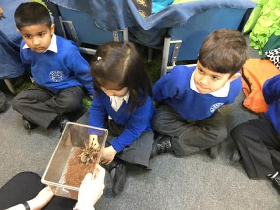 The Reedley schooll pupils with Luna the Spider.