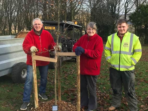 Mrs Carol Stinton, who is the chairman of the Friends of Memorial Park, plants the trees with her husband, David, who is a Friends' volunteer and their grandson, Lee Stinton who is a team leader with Burnley Council's Recreation and Open Spaces department.