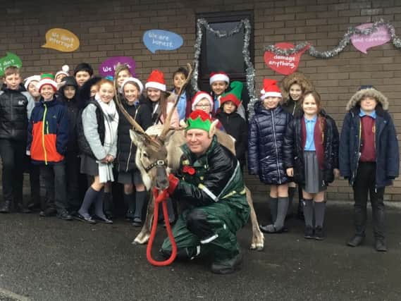 Some of the year six students get to meet one of the reindeers and the elf who visited Holy Trinity Primary School.