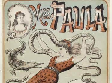Madame Paula, known as the Queen of the Alligators, performed with dangerous reptiles at the Empire in 1895. (s)