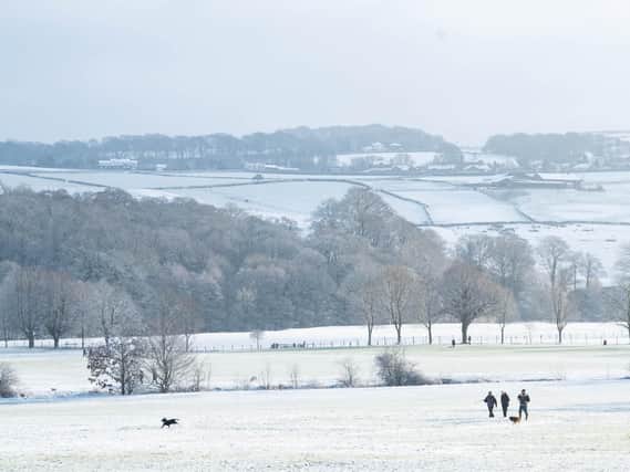 These dogs and their owners made the most of the snowy weather this morning in the grounds of Towneley Hall looking towards Cliviger.