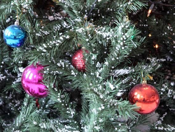 More than 1,000 Christmas trees were collected in Burnley