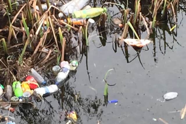 Another shocking image of plastic bottles and other rubbish caught in reeds in the stream at Burnley's Towneley Park.