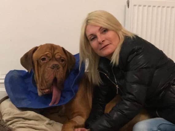 Mylo with his owner Madeleine Mcgrail, who needs to raise 1000 to pay for his radiotherapy treatment and save him from cancer. (s)