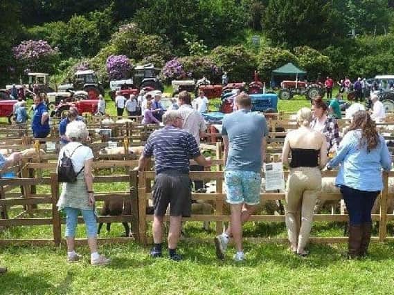 Visitors to last year's Todmorden Show.