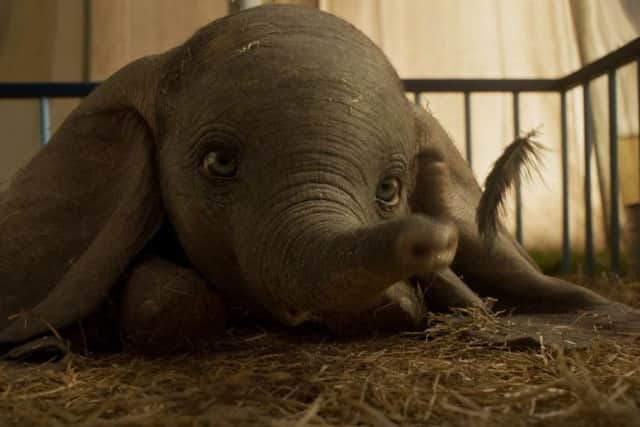 Dumbo