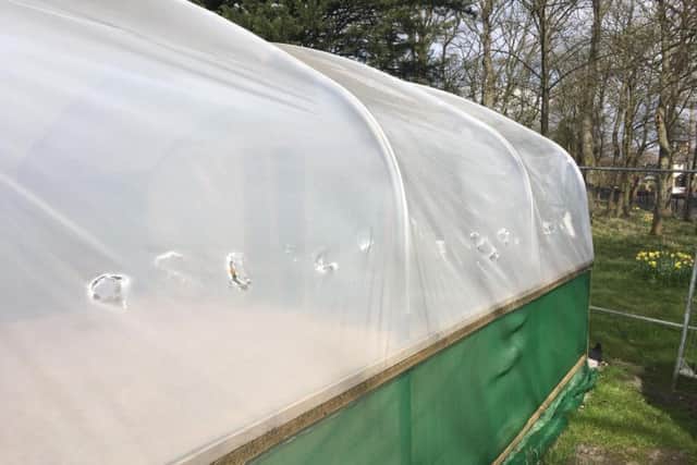The damaged polytunnel in Ightenhill Park, Burnley.