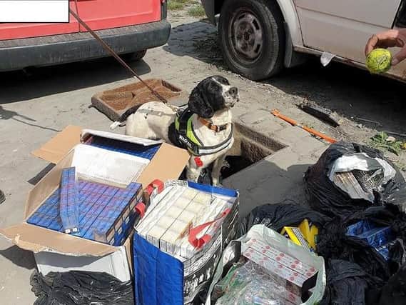 A police sniffer dog managed to find a haul of counterfeit cigarettes hidden under a drain cover in Pendle