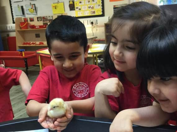 The students with the chicks.