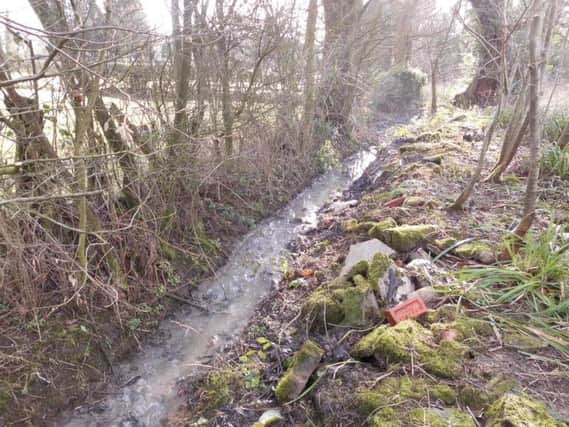 The pollution was caused in the watercourse, which is a tributary of Stydd Brook.